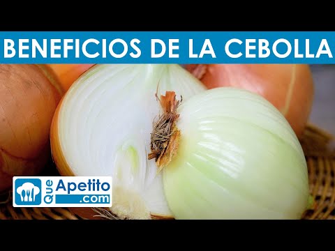 Descubre los usos de la cebolla: ¡Beneficios y recetas!