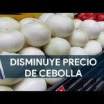 El Precio de la Cebolla: Descubre las Mejores Ofertas